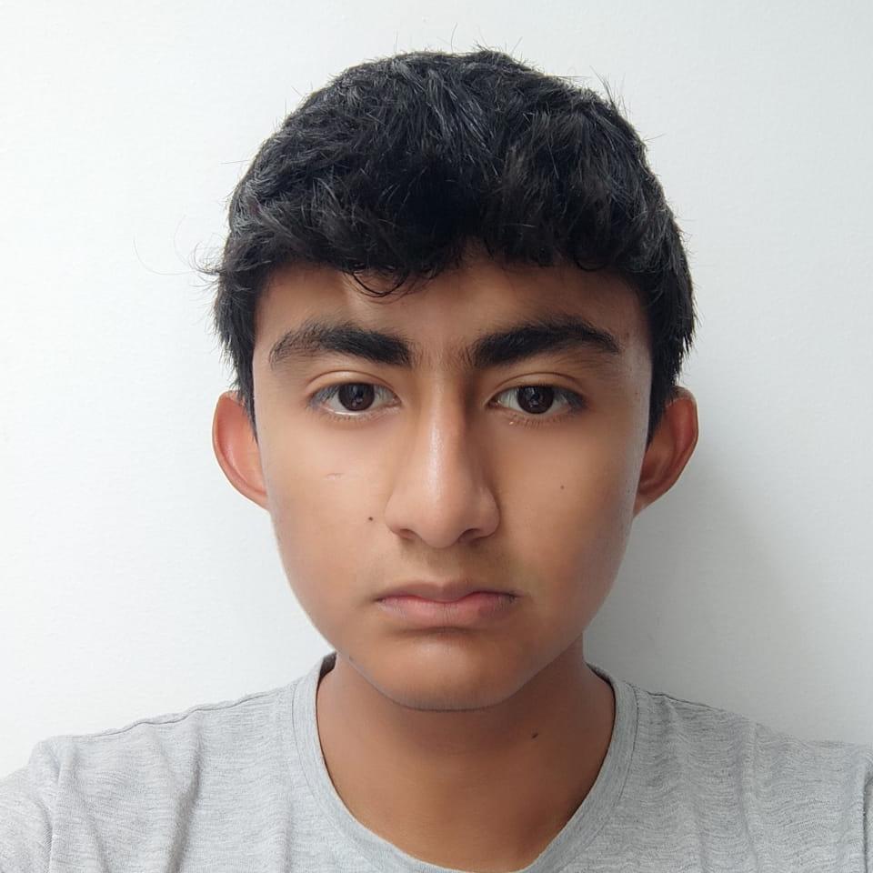 User Image